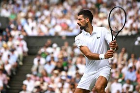 AYX SPORTS德约科维奇世界第一周数