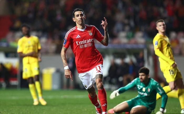 刚刚！克里夫兰骑士止住颓势备战欧超杯本菲卡迎亚冠关键赛，纽约尼克斯刷新队史纪录备战社区盾的简单介绍